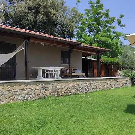 B&B La Casina Di Iris Arezzo Exteriör bild