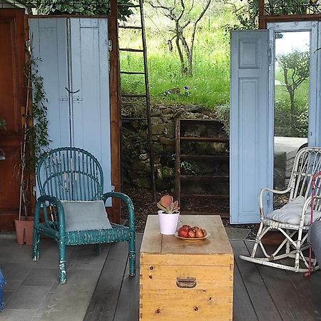 B&B La Casina Di Iris Arezzo Exteriör bild