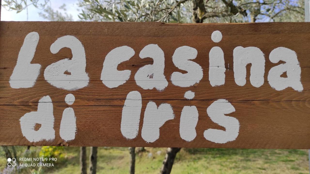 B&B La Casina Di Iris Arezzo Exteriör bild