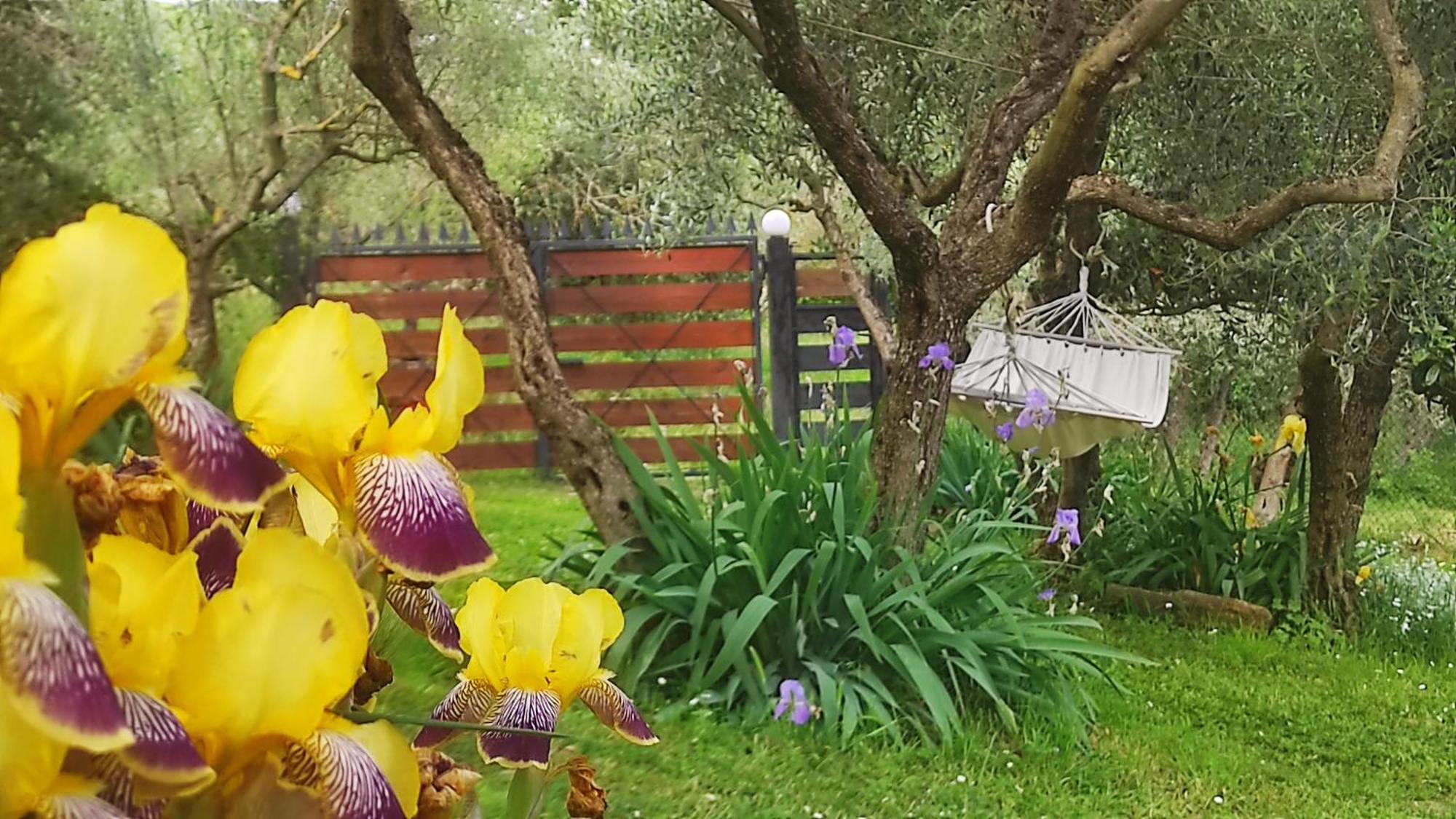 B&B La Casina Di Iris Arezzo Exteriör bild