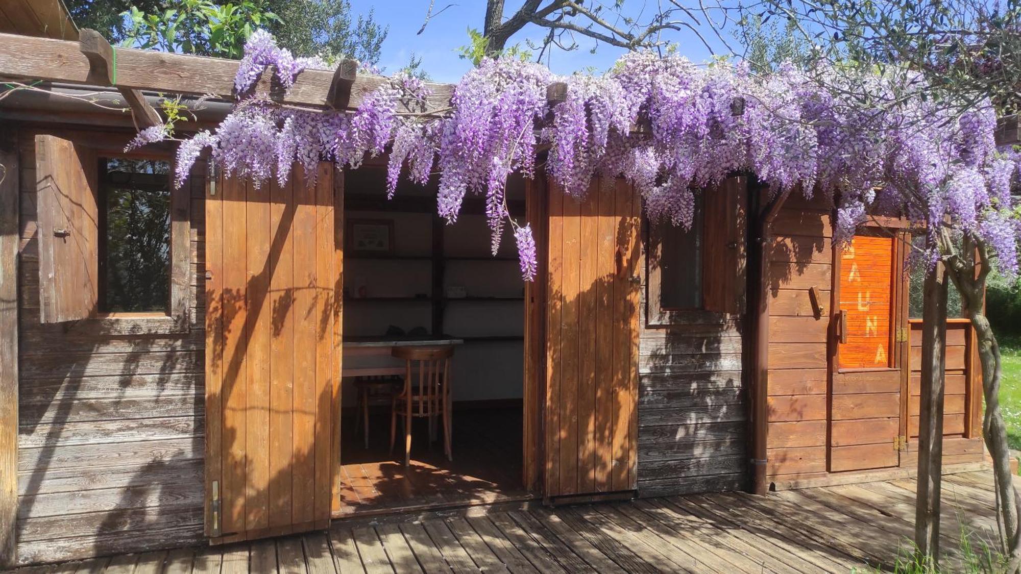 B&B La Casina Di Iris Arezzo Exteriör bild